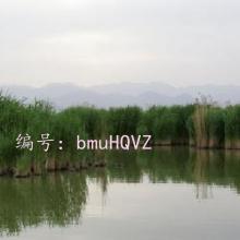 ס