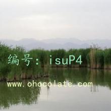 ʼ