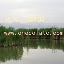 ס